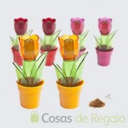 Nuevos regalos originales en el catálogo de nuestra tienda Nuevos regalos originales en el catálogo de nuestra tienda