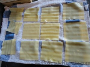 06 - Secamos las placas de pasta