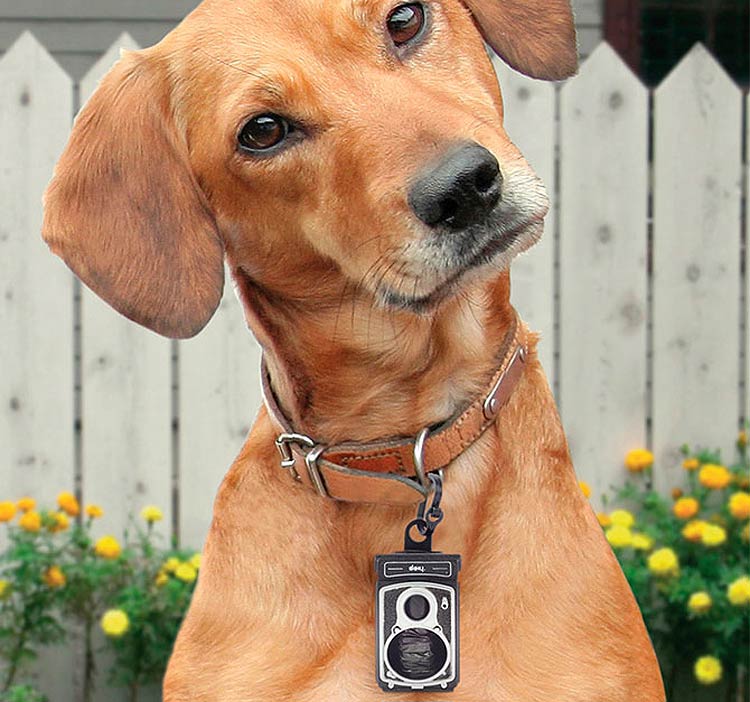 Porta bolsitas para perros con forma de cámara